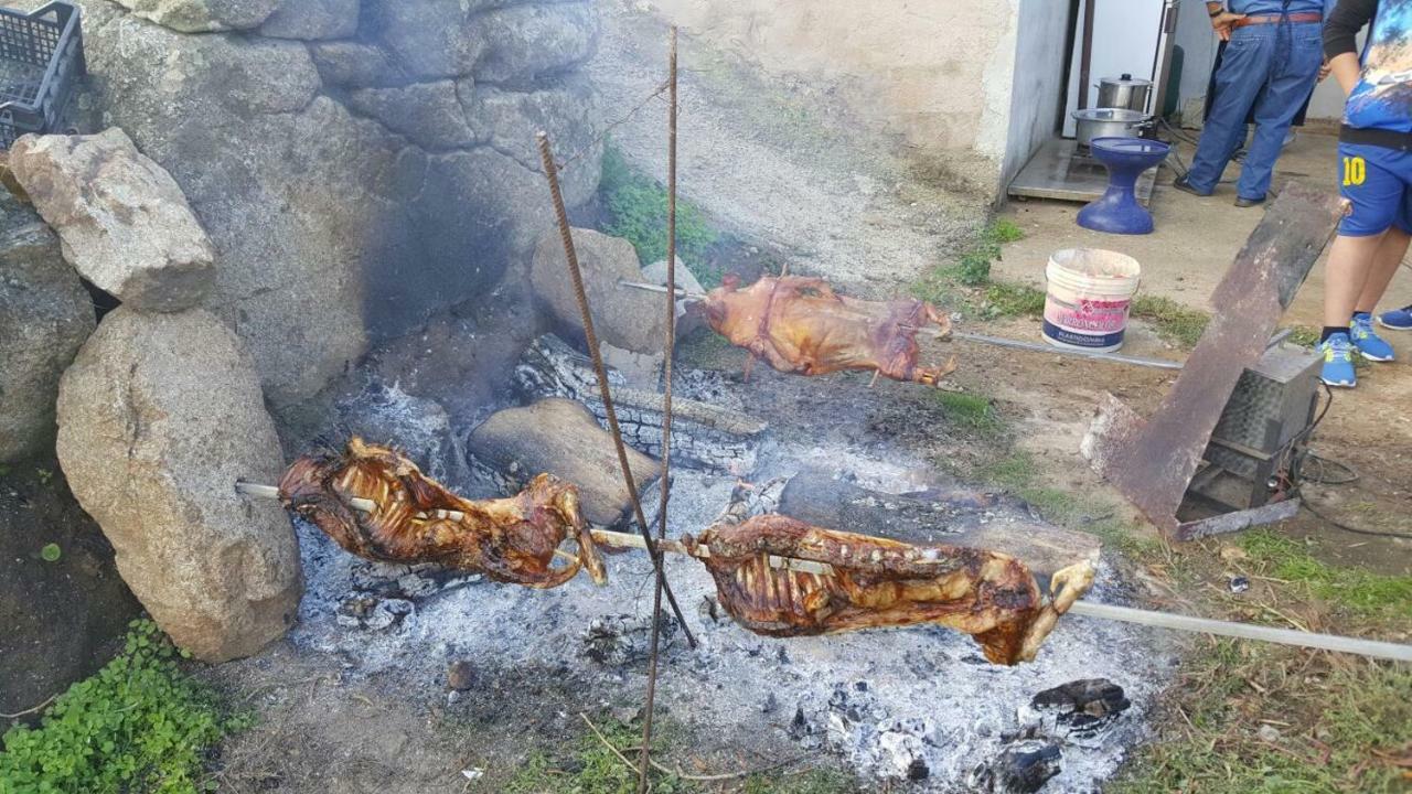 Agriturismo La Vigna 템피오파우사니아 외부 사진