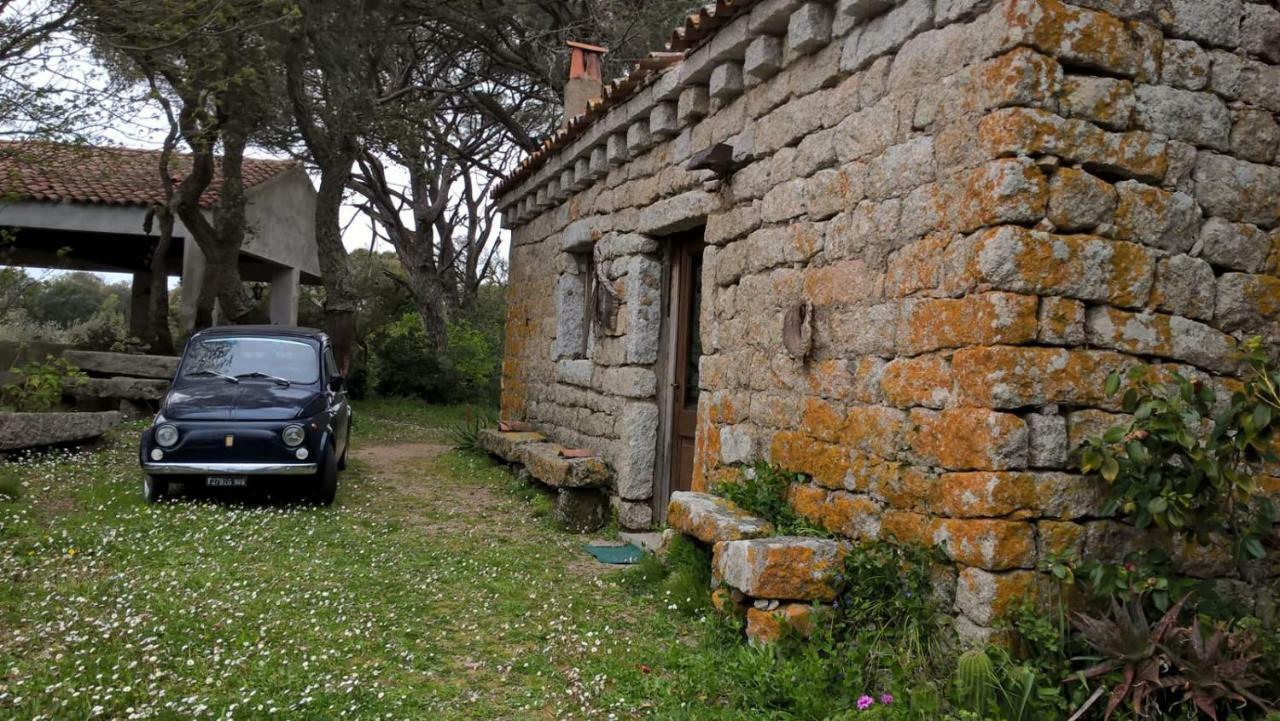 Agriturismo La Vigna 템피오파우사니아 외부 사진