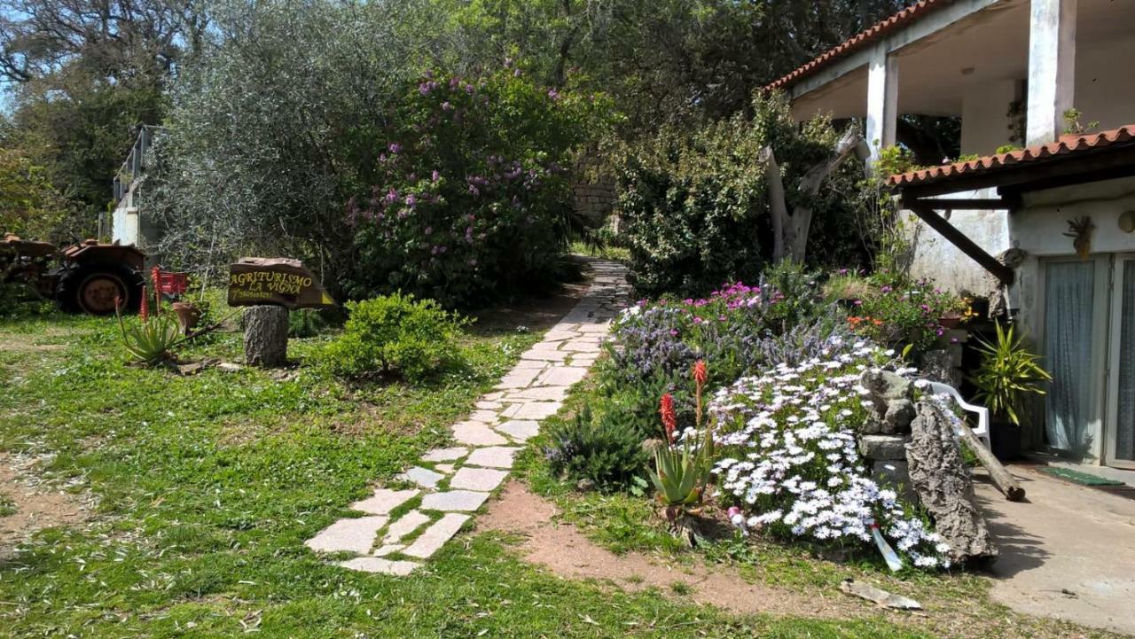 Agriturismo La Vigna 템피오파우사니아 외부 사진