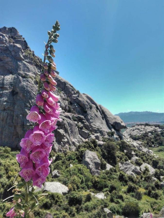 Agriturismo La Vigna 템피오파우사니아 외부 사진